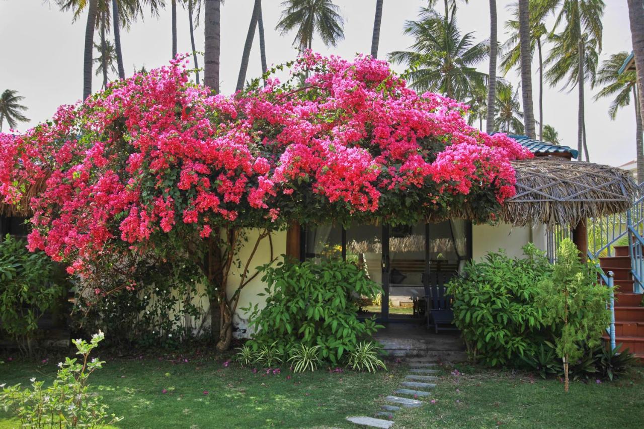 The Legend Coco Beach Mui Ne Exterior photo